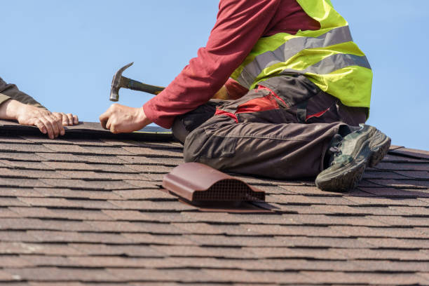 Best Shingle Roofing Installation  in Waveland, MS