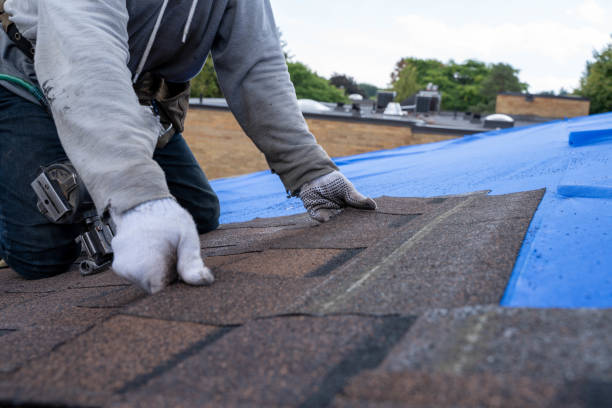Best Roof Gutter Cleaning  in Waveland, MS