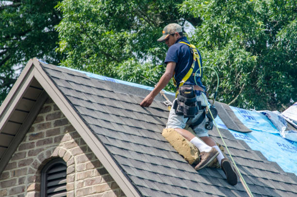 Best Roof Waterproofing Services  in Waveland, MS